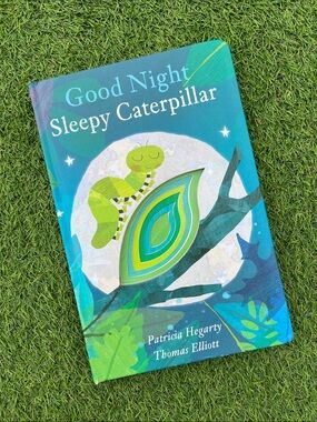 Children’s board book "Good Night Sleepy Caterpillar" by Patricia Hegarty 2018